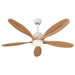 White & Natural Wood