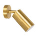 Polished Brass