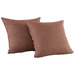 Tawny Brown