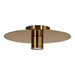 Brushed Brass