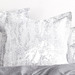 Charcoal