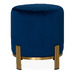 Navy / Gold