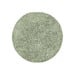 Seagrass