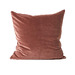 Clove