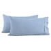 Pale Blue