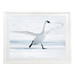 On Thin Ice Framed Wall Art | Temple & Webster