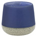 Periwinkle