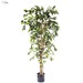 Florabelle 170cm Artificial Ficus Tree & Reviews | Temple & Webster