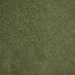 Moss