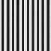 Black Stripe