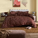 Terracotta Blush