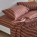 Terracotta Blush