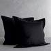 Luxurious Black