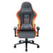 Volcanic Ash Grey & Orange