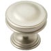 Dull Brushed Nickel