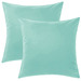 Turquoise Green