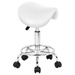 White / Chrome