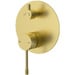Brushed Gold