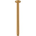 Brushed Brass