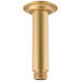 Brushed Brass