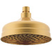 Brushed Brass