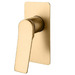 Brushed Brass