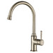 Brushed Nickel