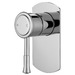 Chrome