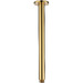 Polished Brass