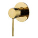 Polished Brass