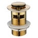 Polished Brass