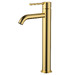 Polished Brass