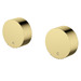 Polished Brass