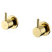 Polished Brass