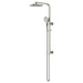 Brushed Nickel
