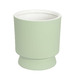 Pistachio Green