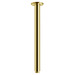 Brushed Brass