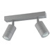 Silver Grey