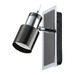 Chrome / Black