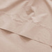 Sepia Rose