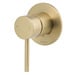 Brushed Gold