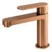 Brushed Bronze