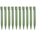 Eucalyptus Green