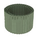 Eucalyptus Green
