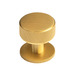 Brushed Satin Brass