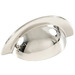 Polished Nickel