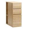 Beesly Filing Cabinet with Shelves