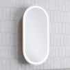 Soho 450mm Pill LED Mirrored Shaving Cabinet