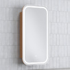 Soho 450mm Rectangular LED Mirrored Shaving Cabinet