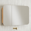 Mecca 1200mm Rectangular Mirrored Shaving Cabinet